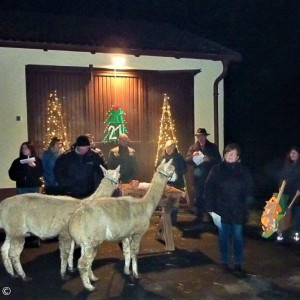 Lebendiger Adventskalender 2019 21. Dezember Schönlind