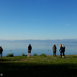 Bodenseehof 1 2019